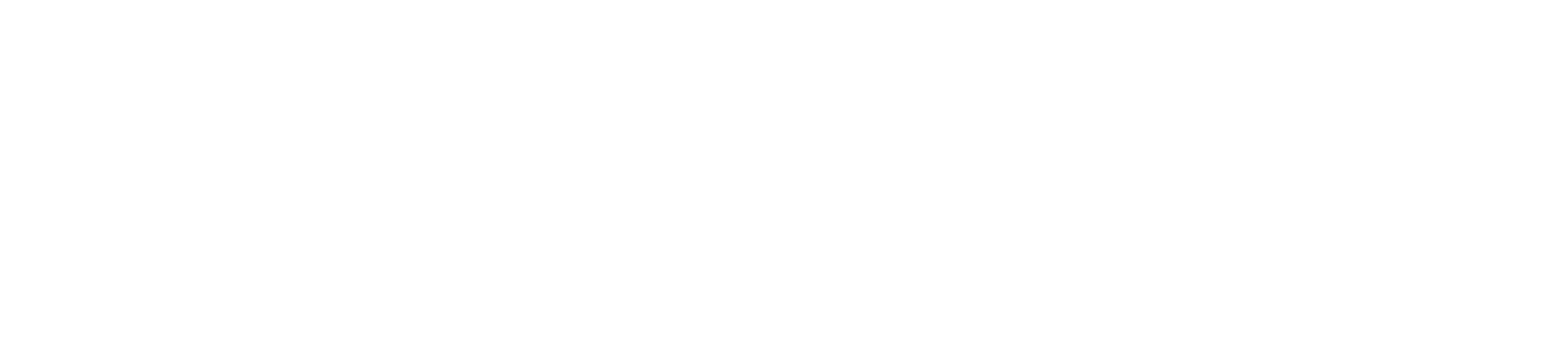 Black Twitter: A People's History
