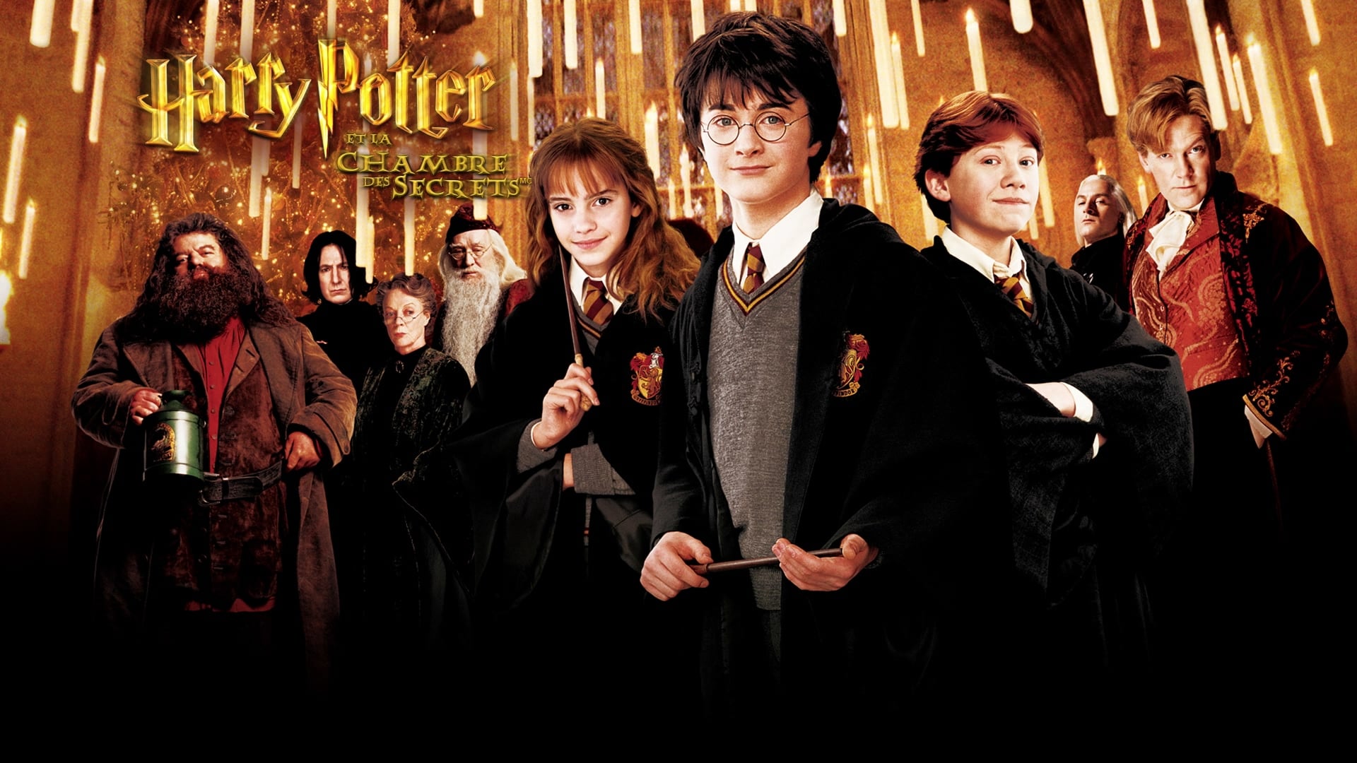 Image du film Harry Potter et la Chambre des secrets xlabs5mrb9merfhnn4lndelcdszjpg