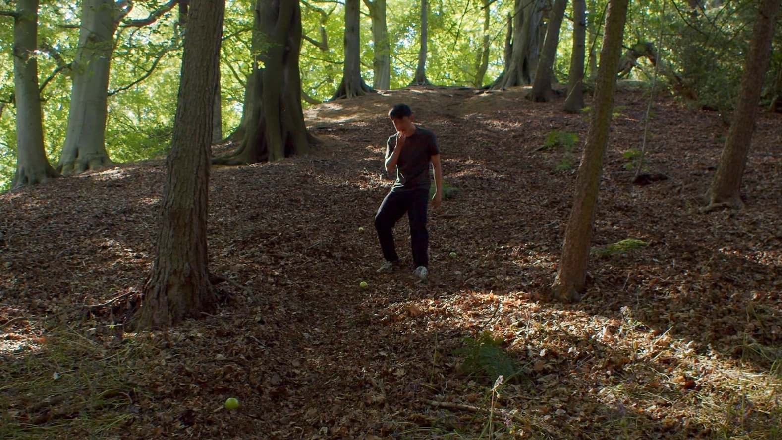 Imagem do Filme Green