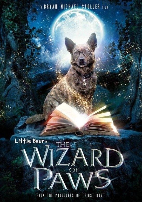 The Amazing Wizard of Paws