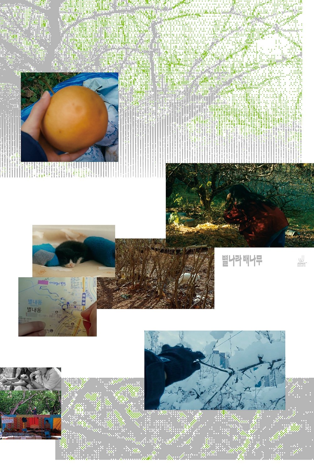 A Pear Tree In The Star Village