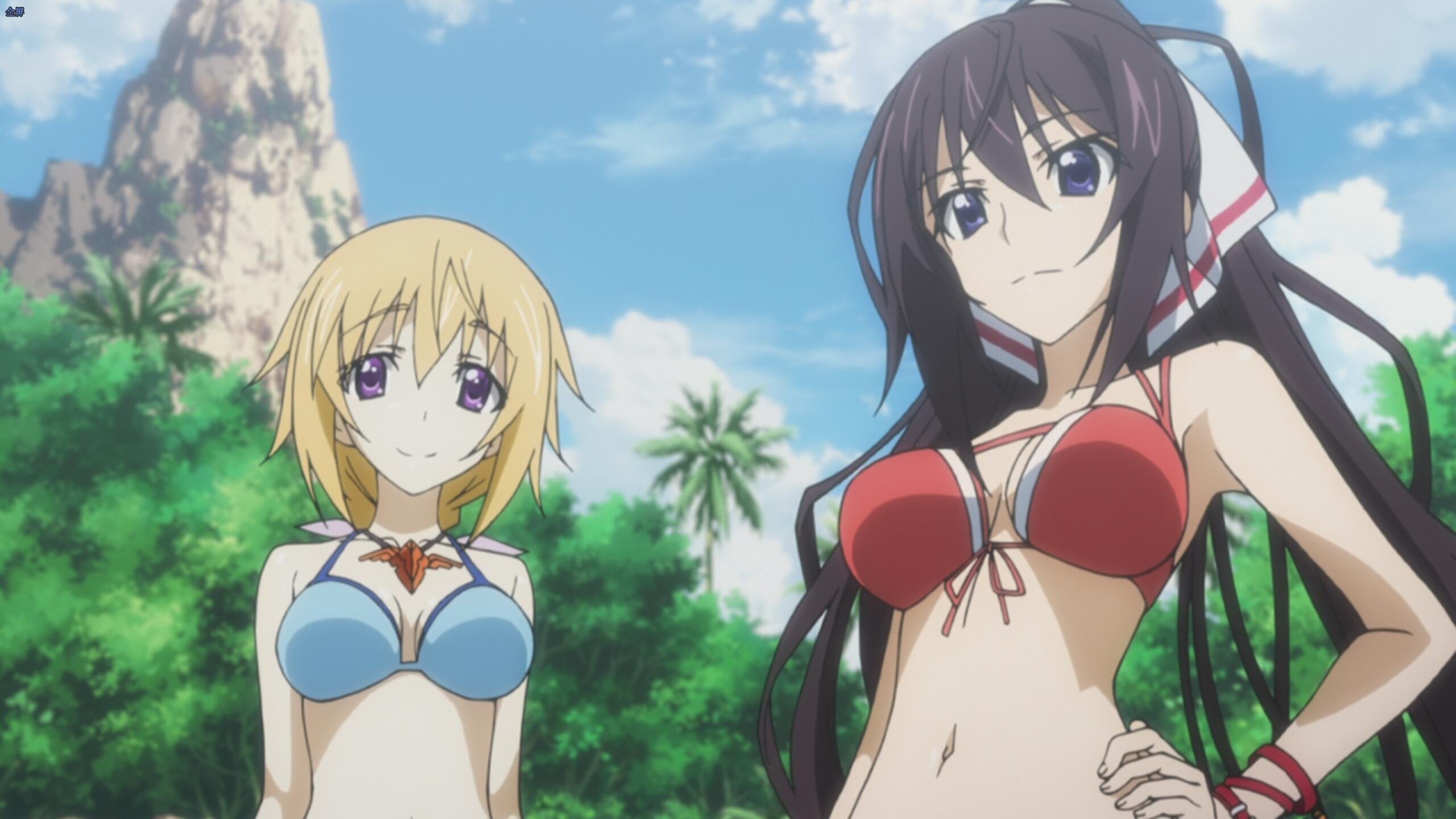 IS: Infinite Stratos · Episode 5 · Infinite Wedding - Plex