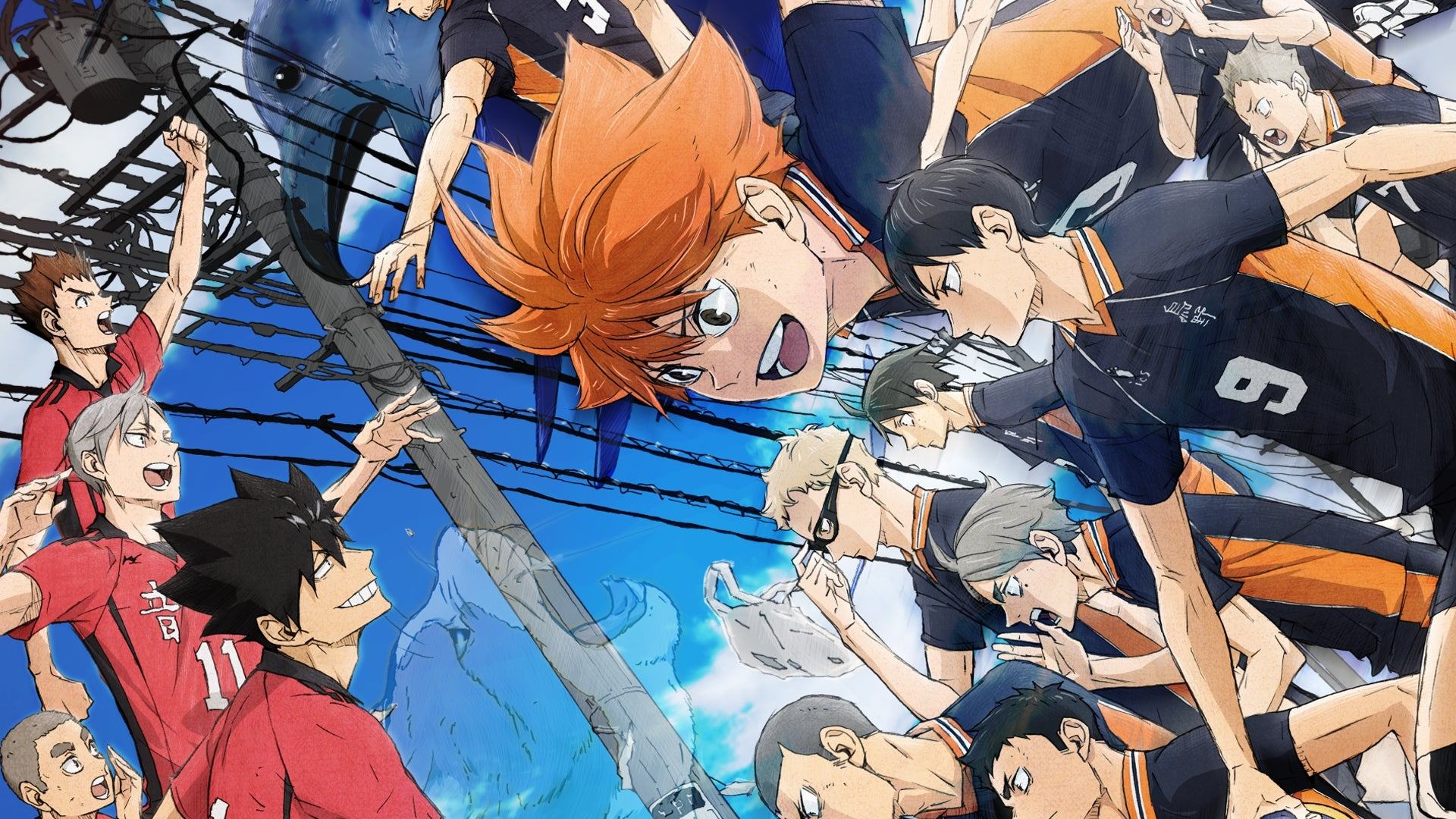HAIKYU!! The Dumpster Battle Backdrop Image