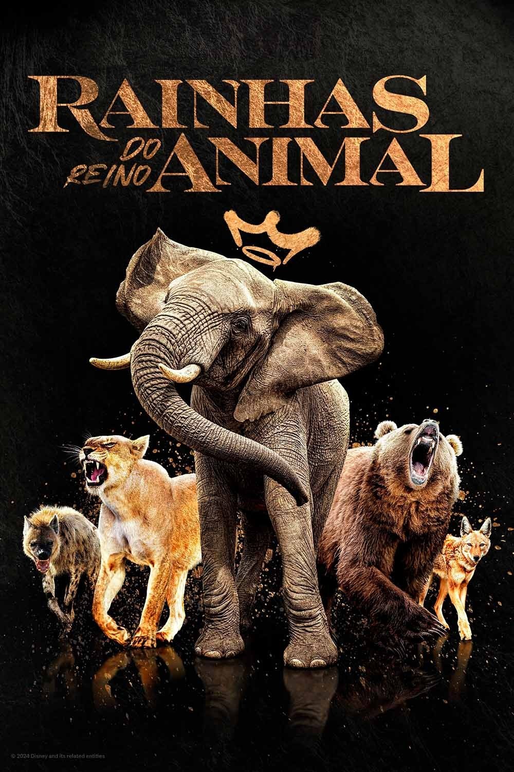 Rainhas do Reino Animal