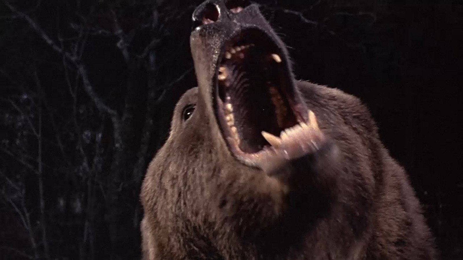 Grizzly (1976)