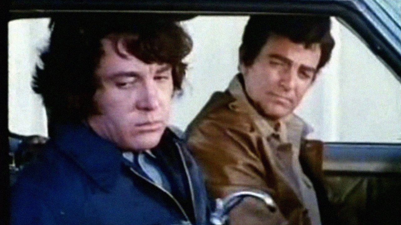 Beg, Borrow...or Steal (1973)