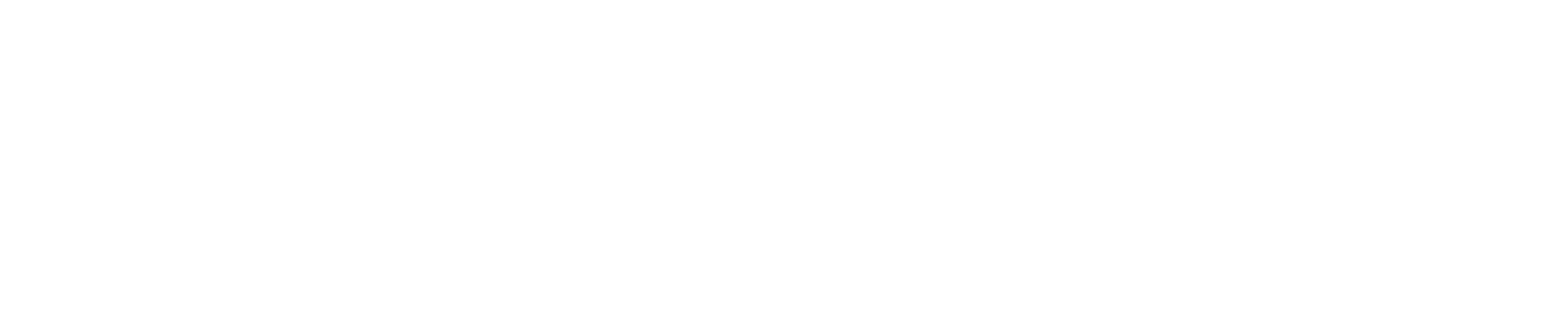 A Stolen Life Logo