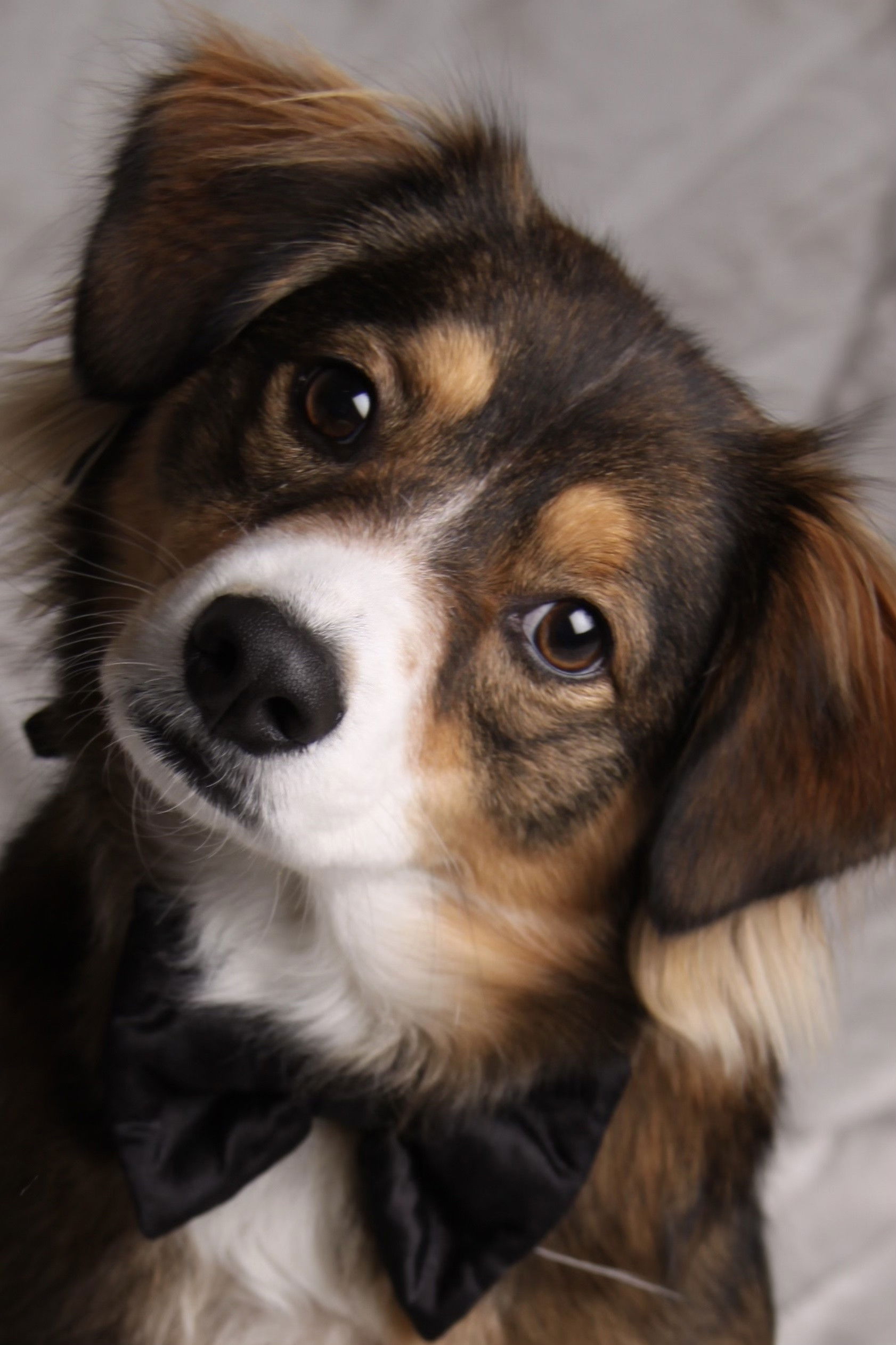 et billede af Lucky Hannah