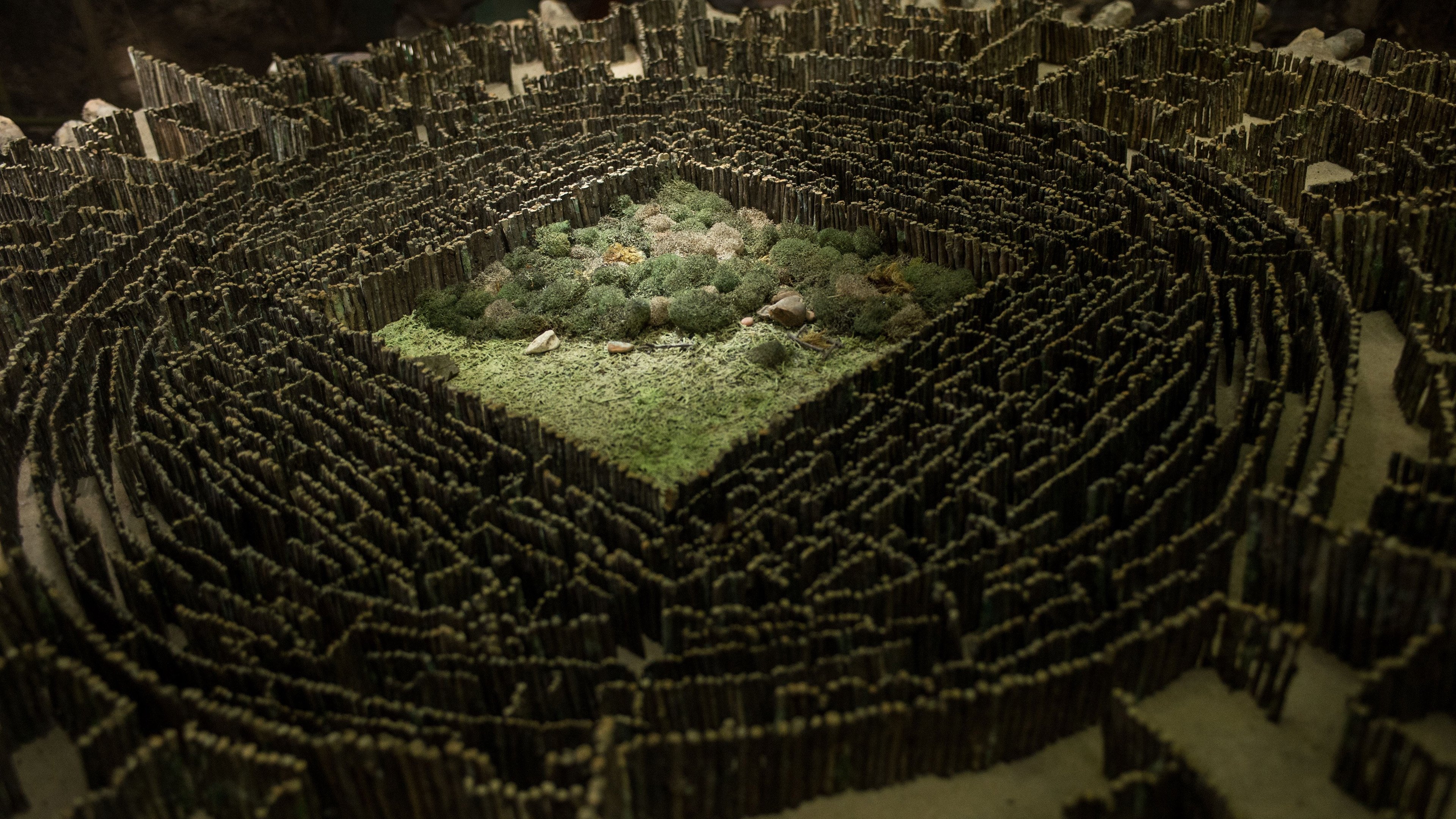 The Maze Runner