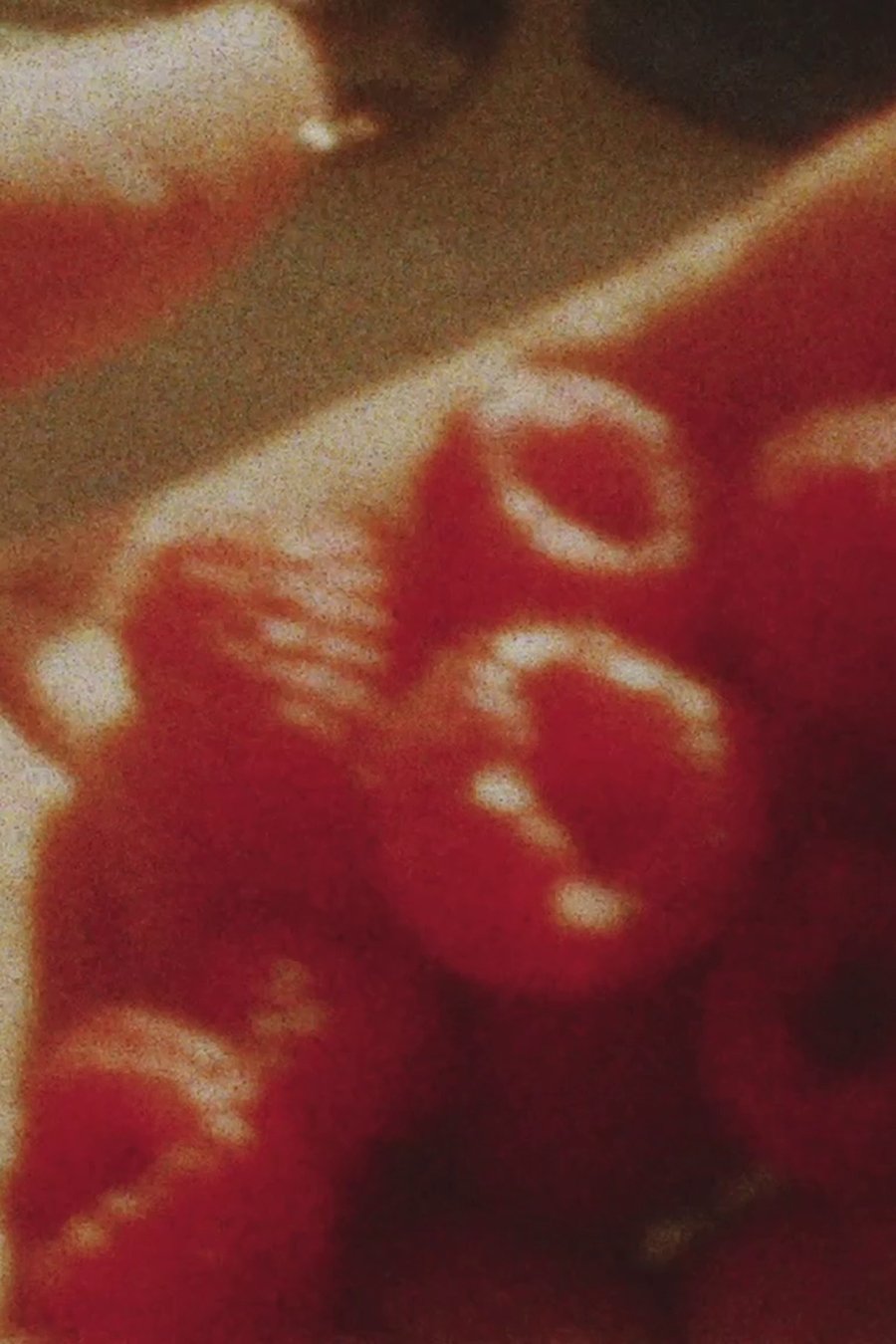 Content cover