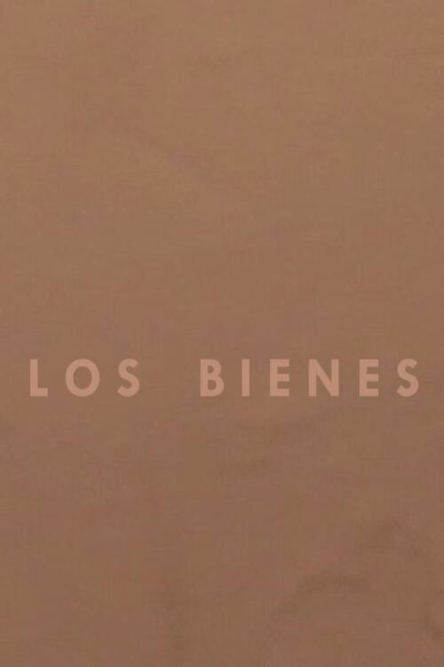 Los bienes