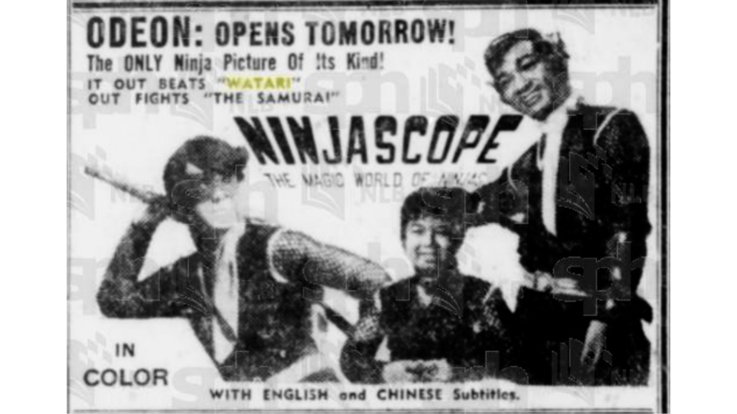 Ninjascope: The Magic World of Ninjas