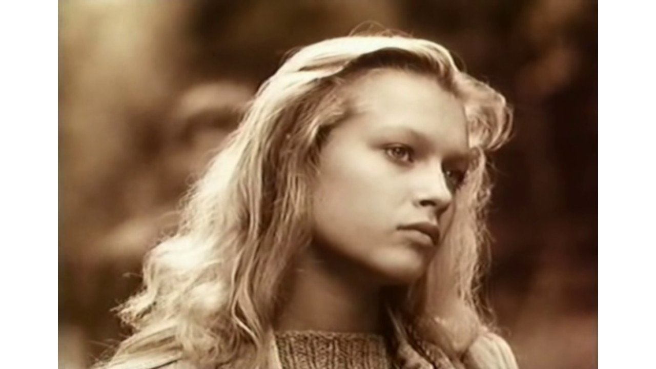 The Mediator (1990)