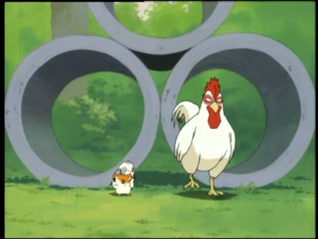 Hamtaro
