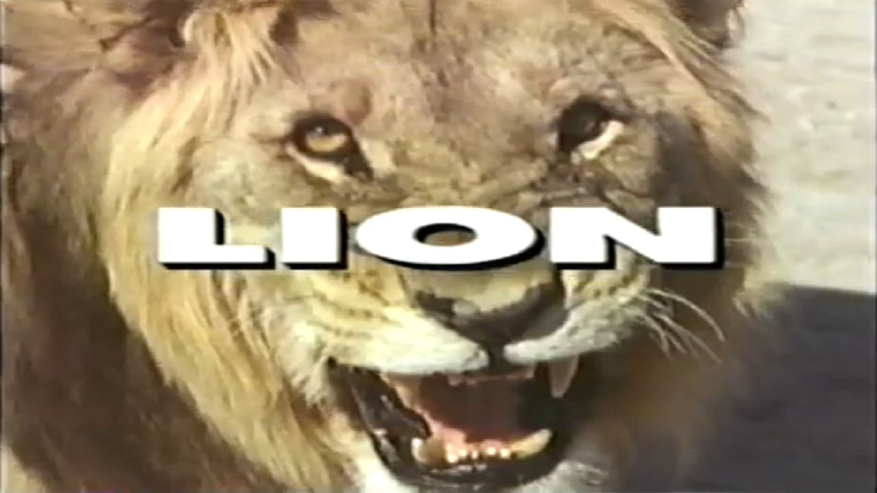 Predators of the Wild: Lion