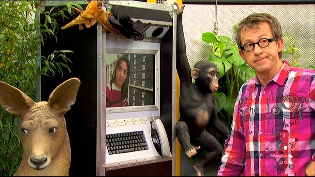 C'est pas sorcier - Les mammifères : nés dans l'ombre des dinosaures