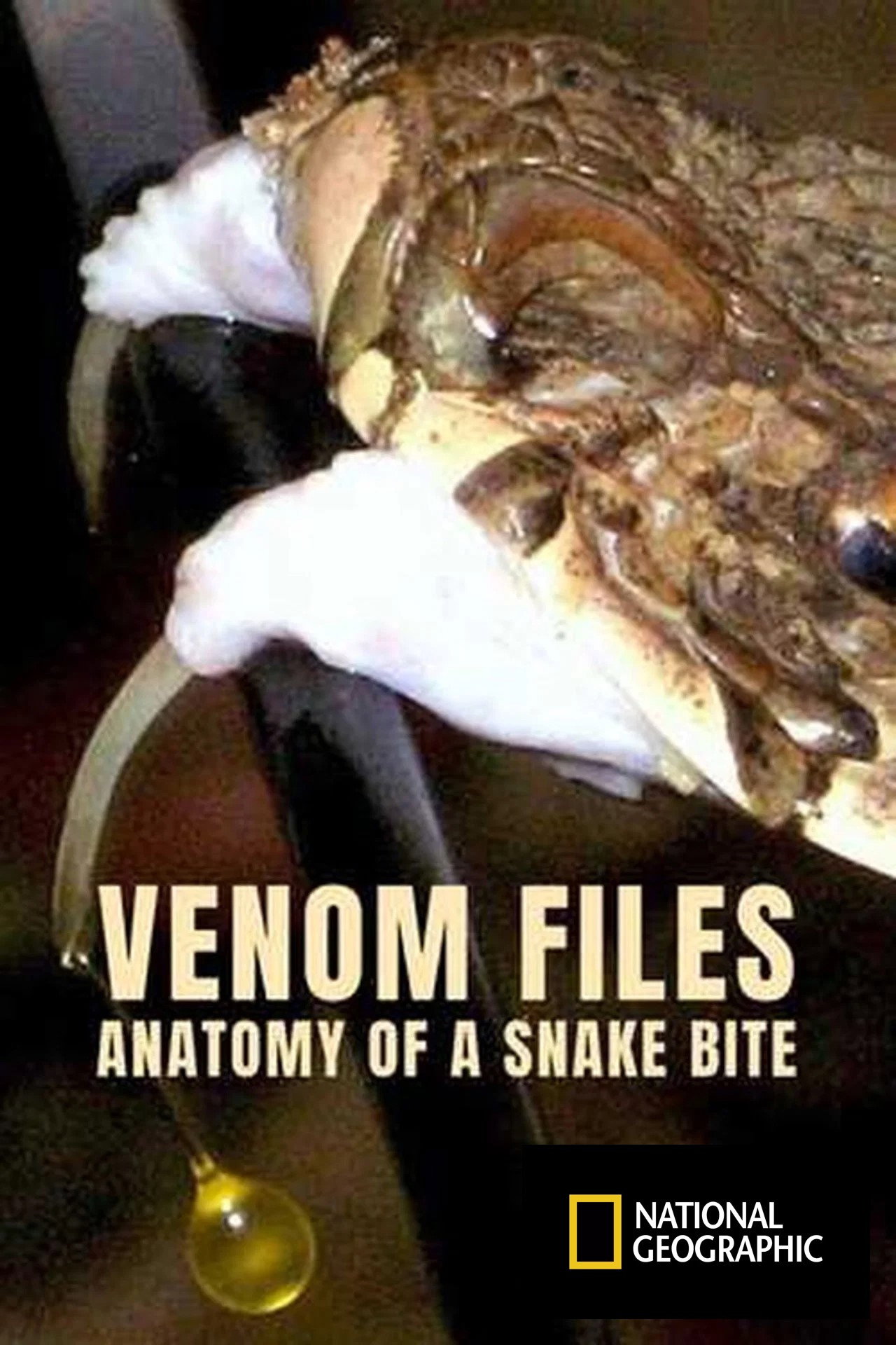 Venom File - Anatomy of a snake bite