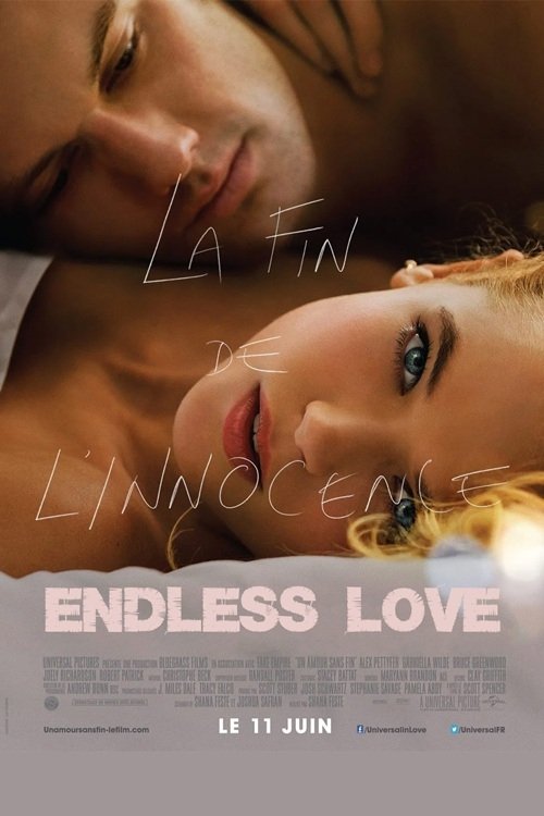 EN - Endless Love (2014)