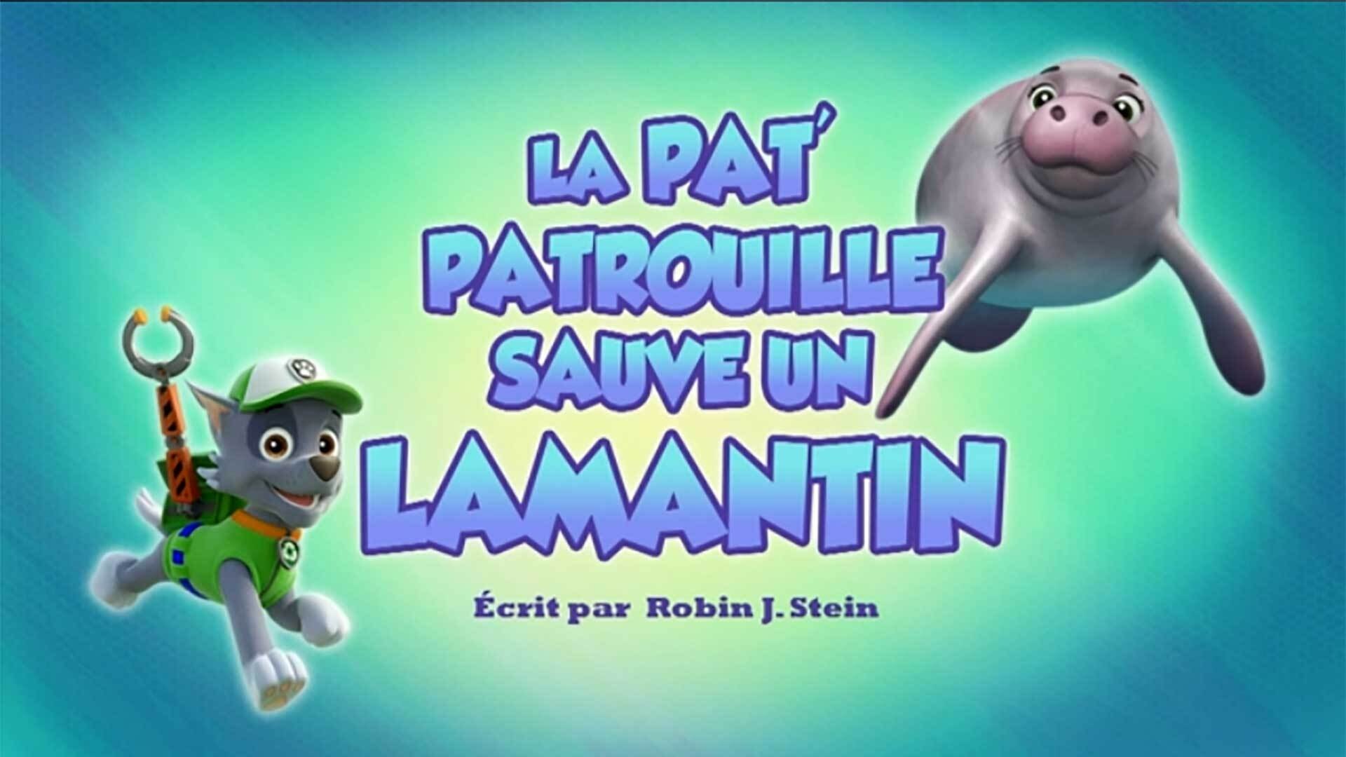 Episode 21 - I cuccioli salvano un lamantino