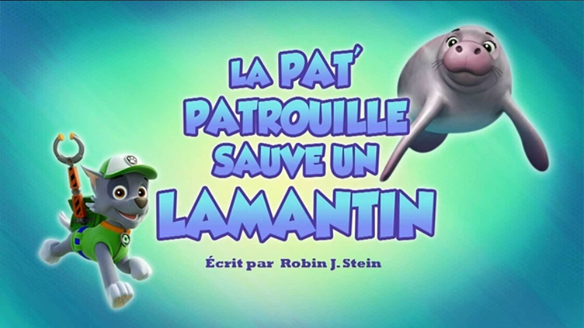 Paw Patrol Helfer auf vier Pfoten Staffel 6 :Folge 21 