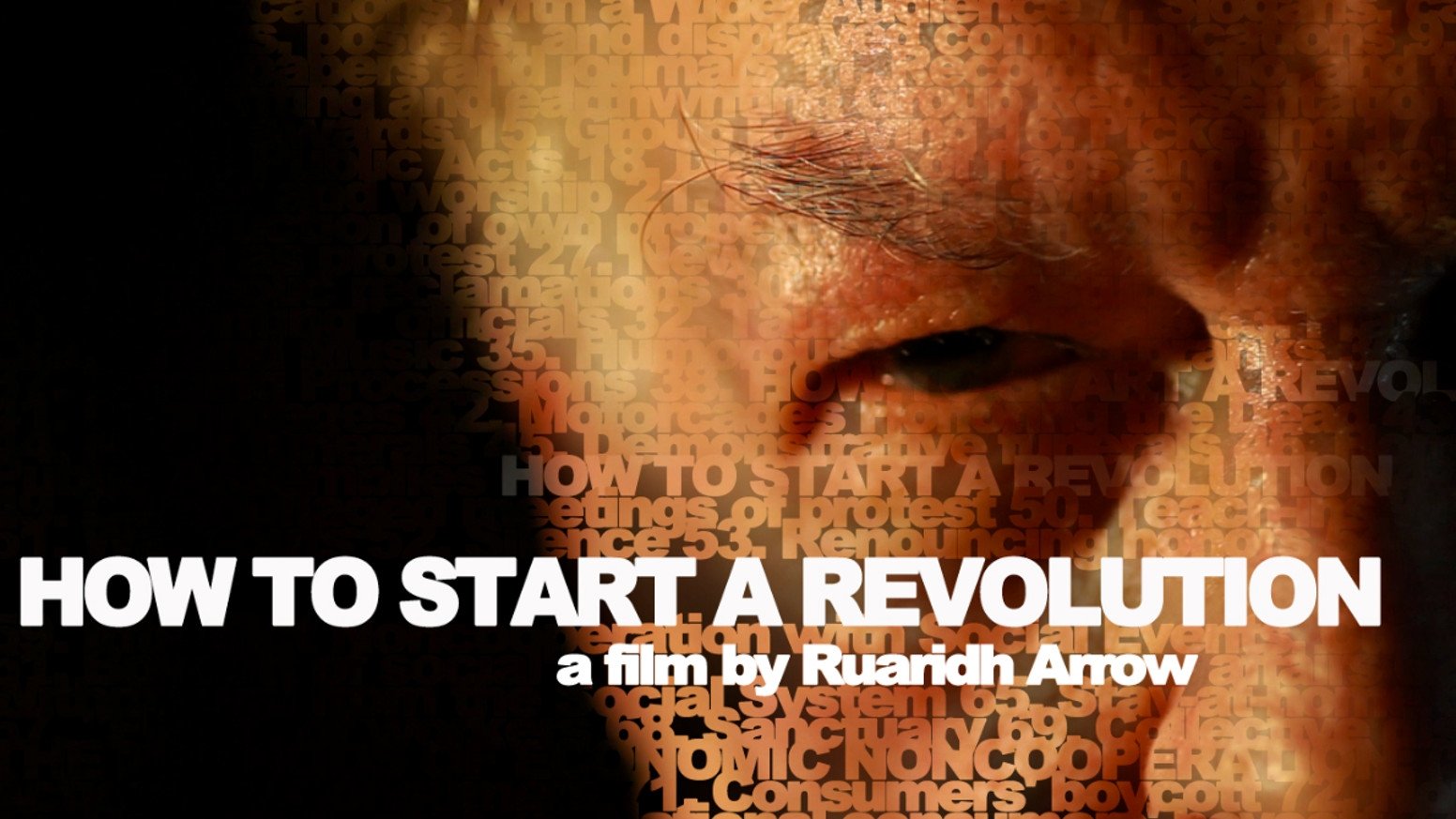 How to Start a Revolution (2012)