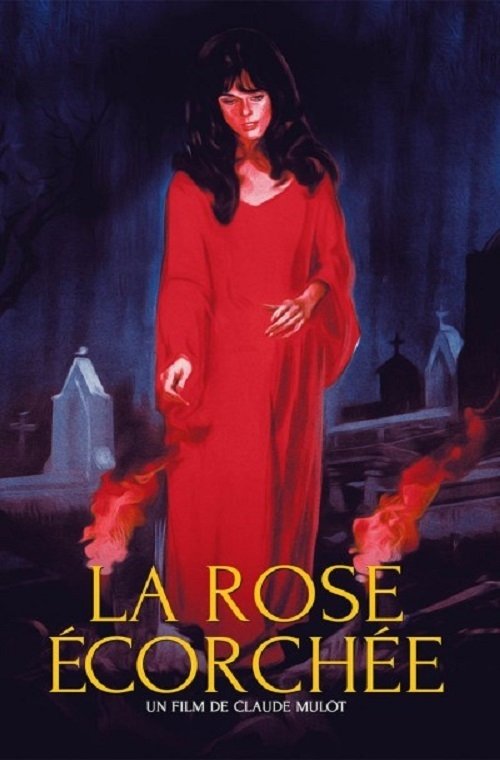Capa do Filme 
