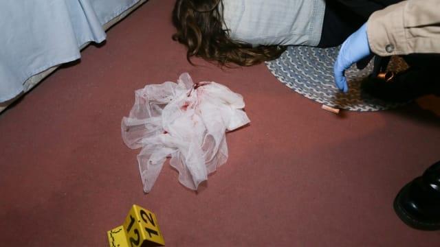 The Lake Erie Murders