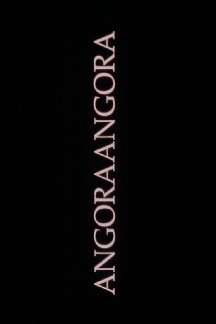 Angoraangora Angoraangora