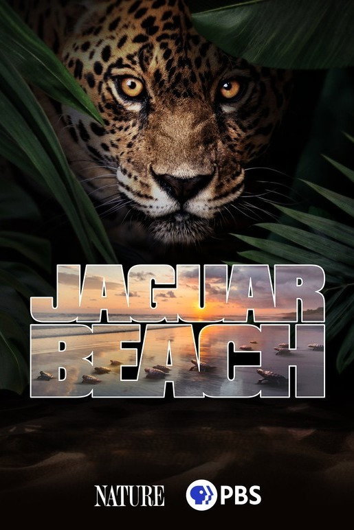 Jaguar Beach&lrm;