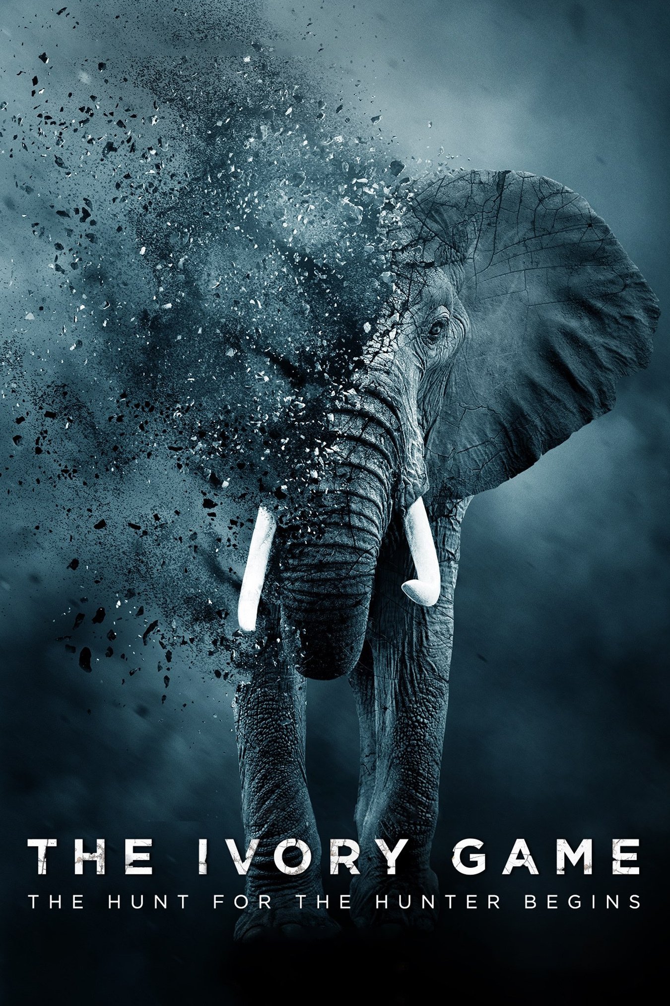 The Ivory Game