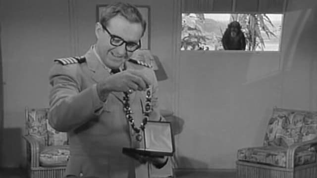 McHale's Navy
