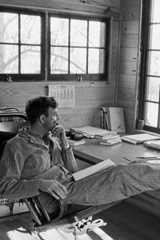 et billede af Wendell Berry