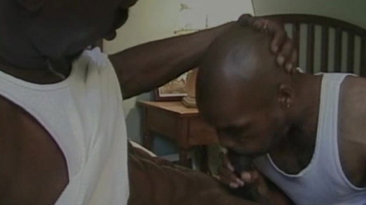 Traveling with Bam backdrop image