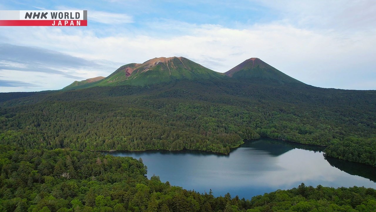 Wild Hokkaido!
