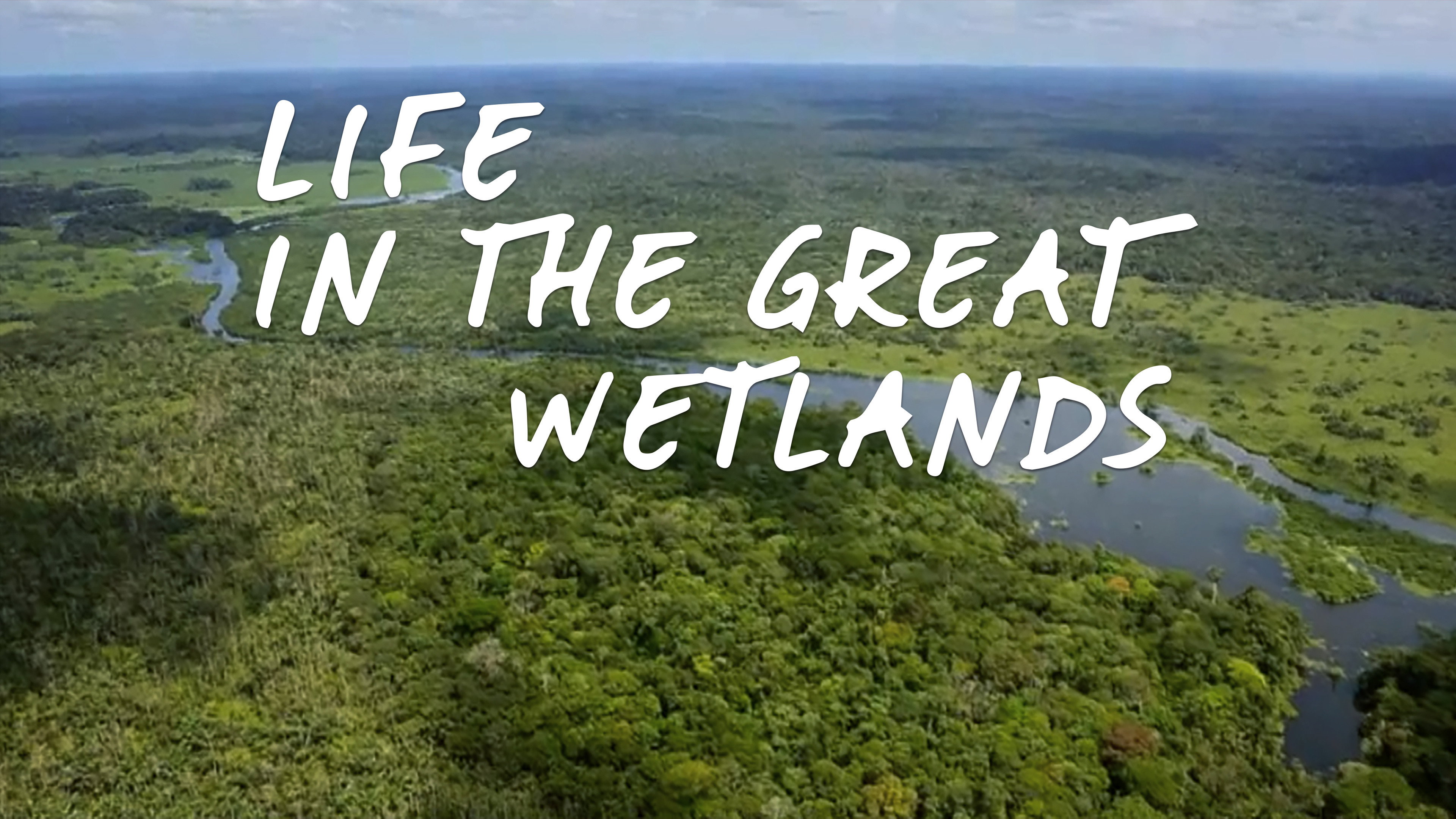 Life in the Great Wetlands