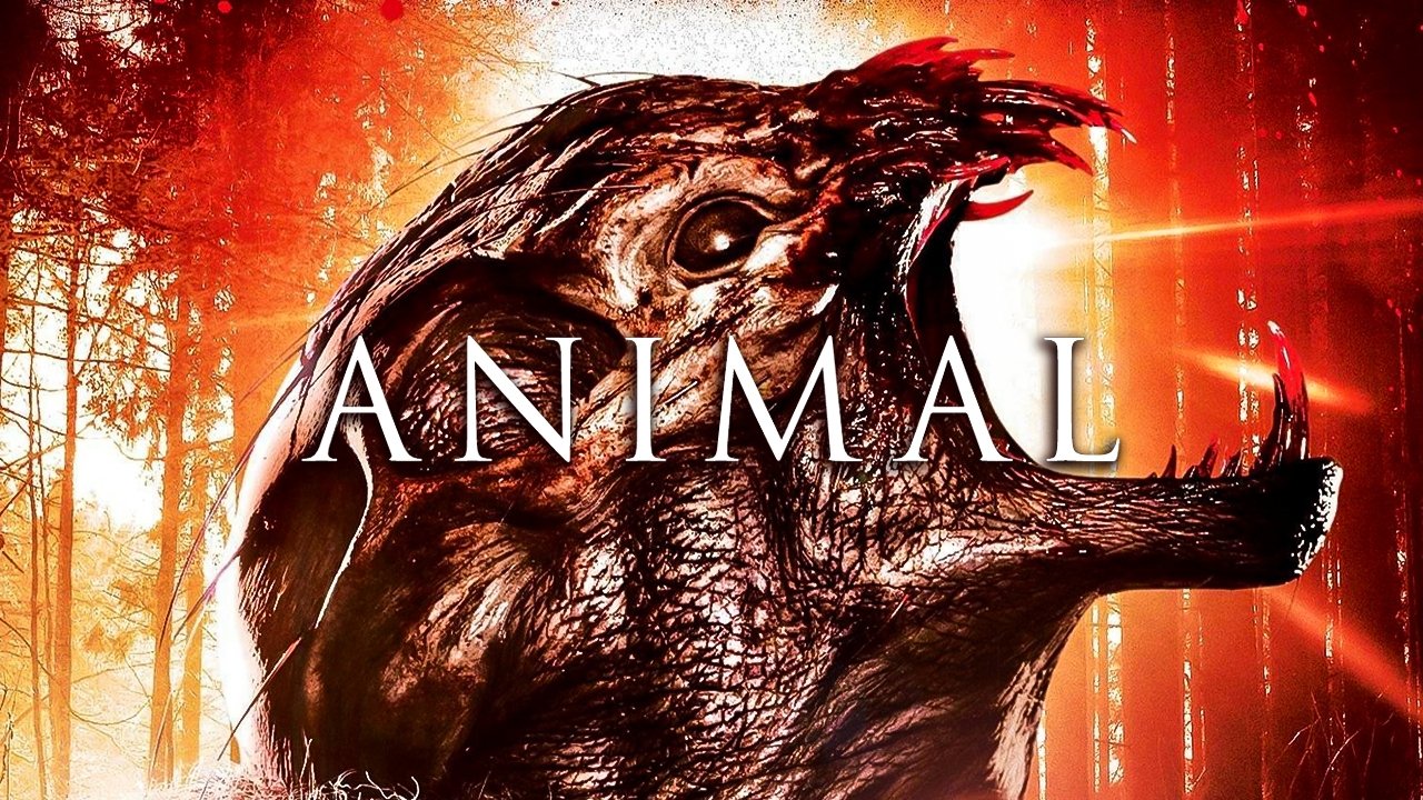 Animal