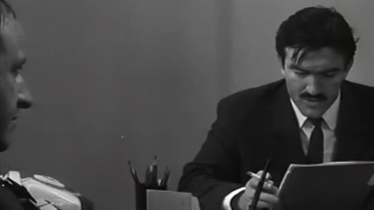 The Journalist (1967)