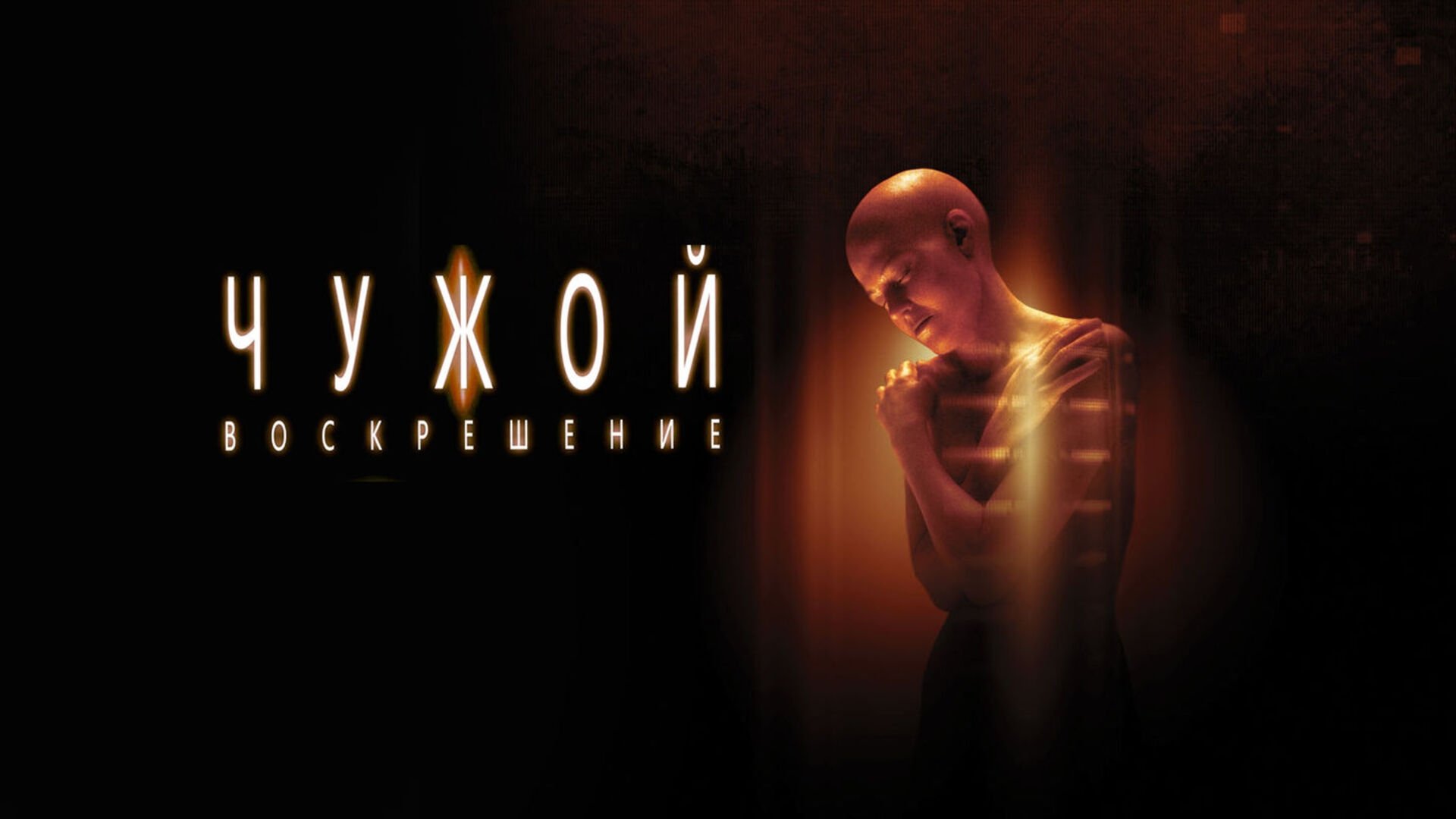 /xVqh4mx225zsPcpDw8eapFdY6wD.jpg