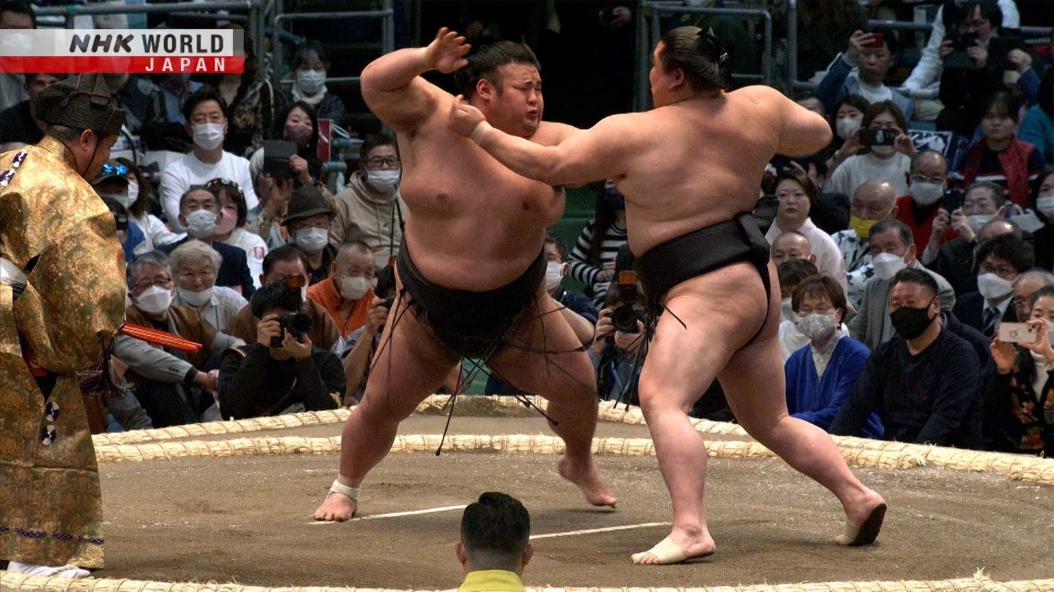 GRAND SUMO Highlights Staffel 16 :Folge 3 