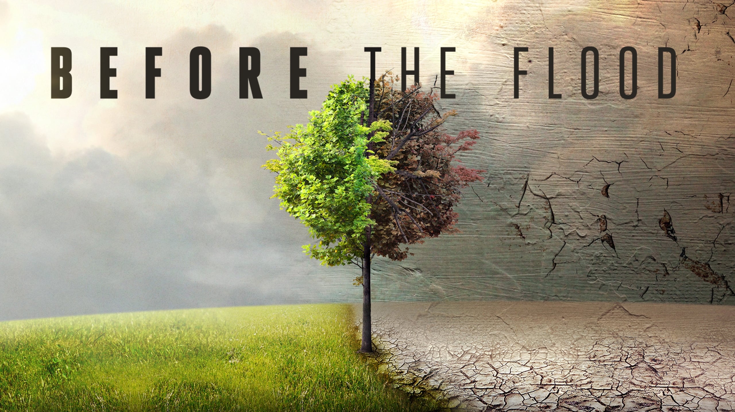 Before the Flood (2016)