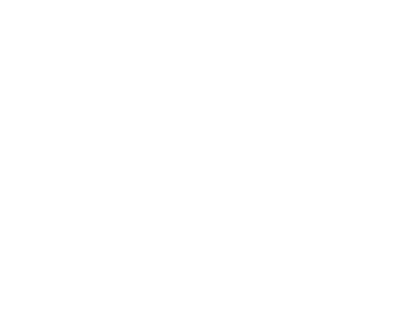 Dead Birds Logo