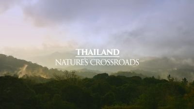 Thumbnail for Thailand: Nature's Crossroads Season 1 Episode 5