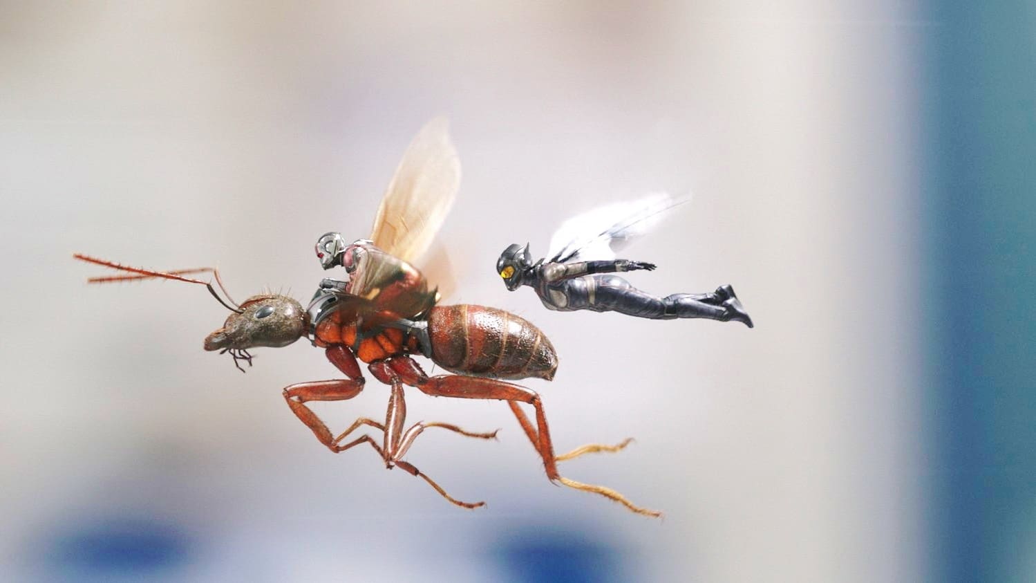 ადამიანი - ჭიანჭველა და კრაზანა (2018)