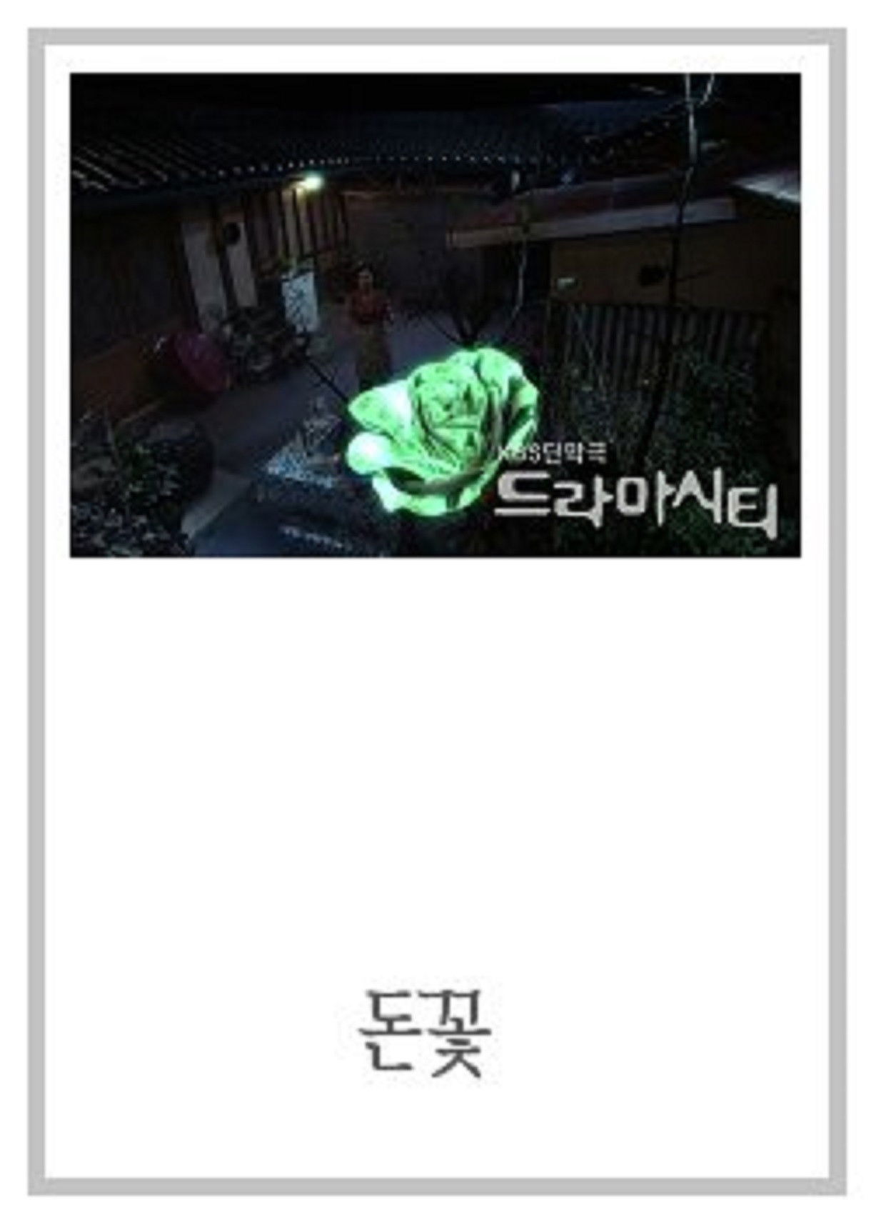 Drama City: Money Flower