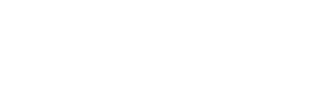 Show Me the Money Logo