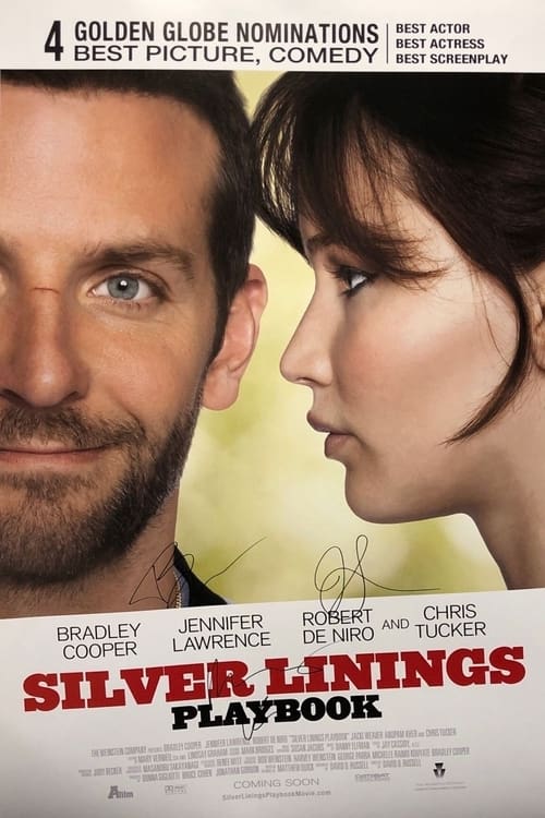 Silver Linings Playbook