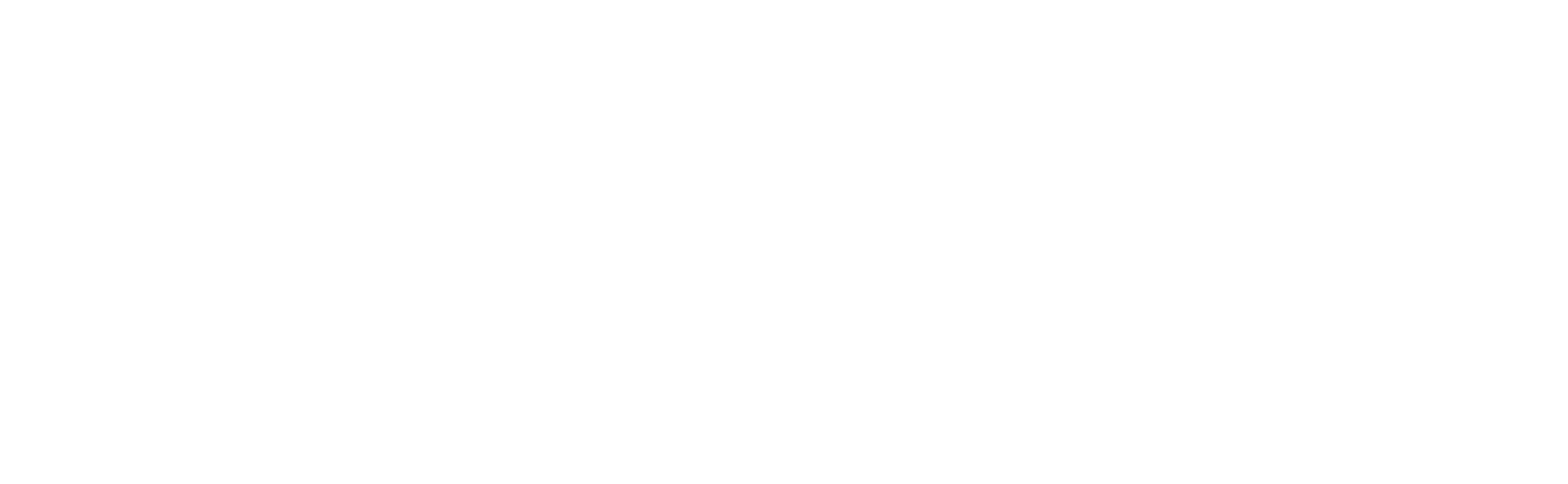 Total Control Logo