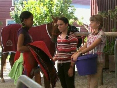 The Saddle Club