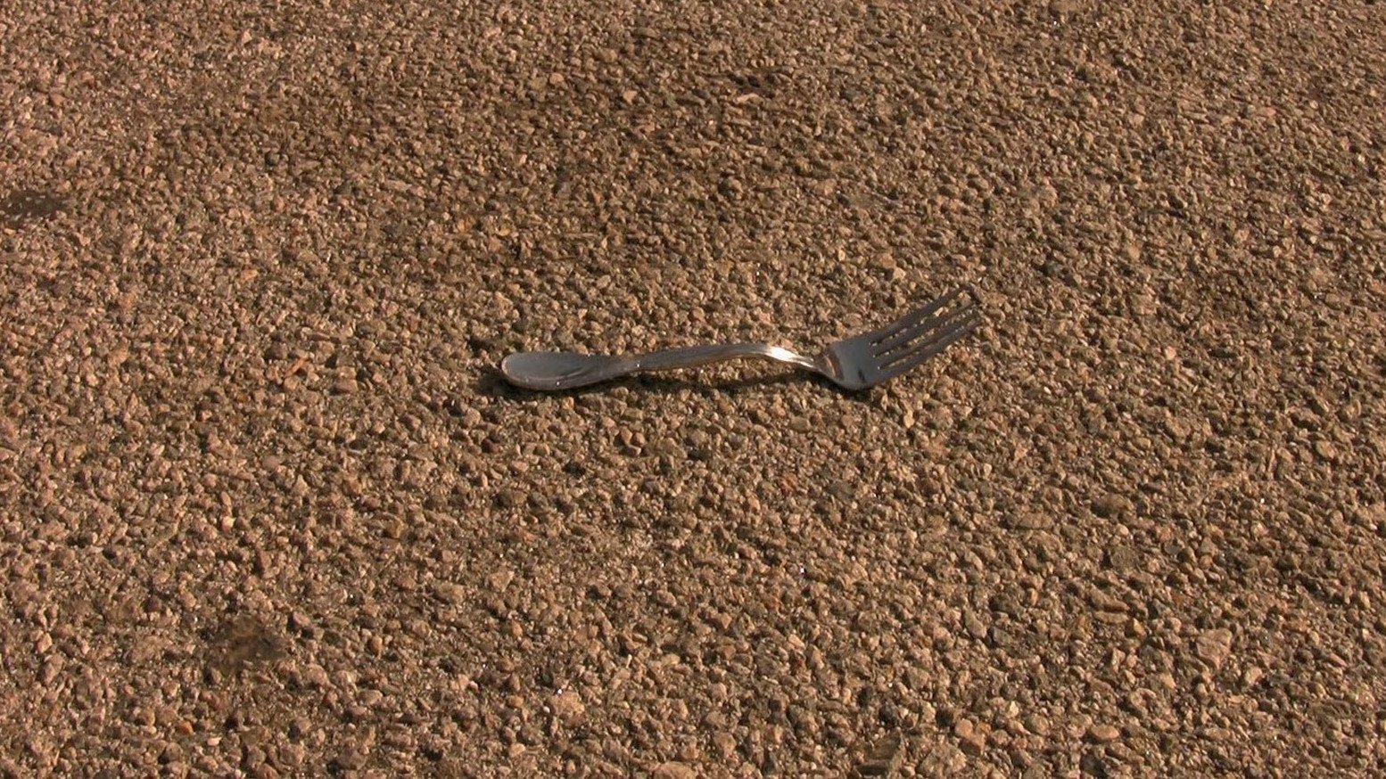 A Fork in the Road (2010)