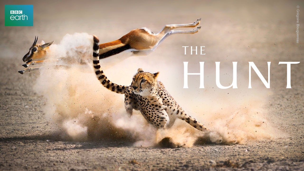 The Hunt (2015)